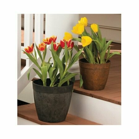 NOVELTY 10 in. Rust Dolce Planter 03102.05